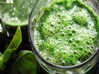 Spirulina Yosunu Nedir?