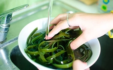 Yosun Çayı Kullanımı ve Faydaları Nelerdir?